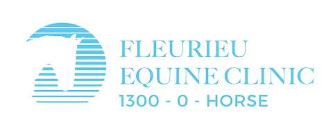 Photo: Fleurieu Equine Clinic